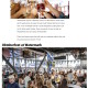 AM New York . Oktoberfest in NYC Where to Grab a Beer and Celebrate